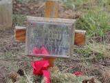 image of grave number 795076
